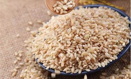 糙米的做法和功效与作用_糙米饭的正确煮法